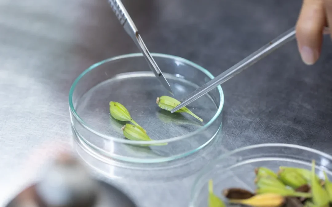 L’impact d’un logiciel de laboratoire sur la qualité des données scientifiques