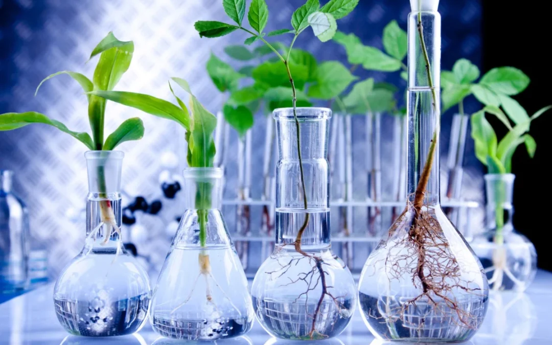 Améliorez la collaboration interdisciplinaire avec un logiciel de gestion de laboratoire